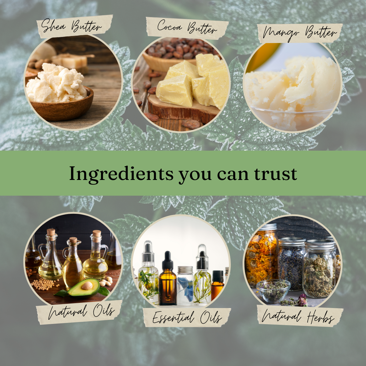 Collection of natural ingredients including shea butter, cocoa butter, mango butter, natural oils, essential oils, and natural herbs with a green banner.